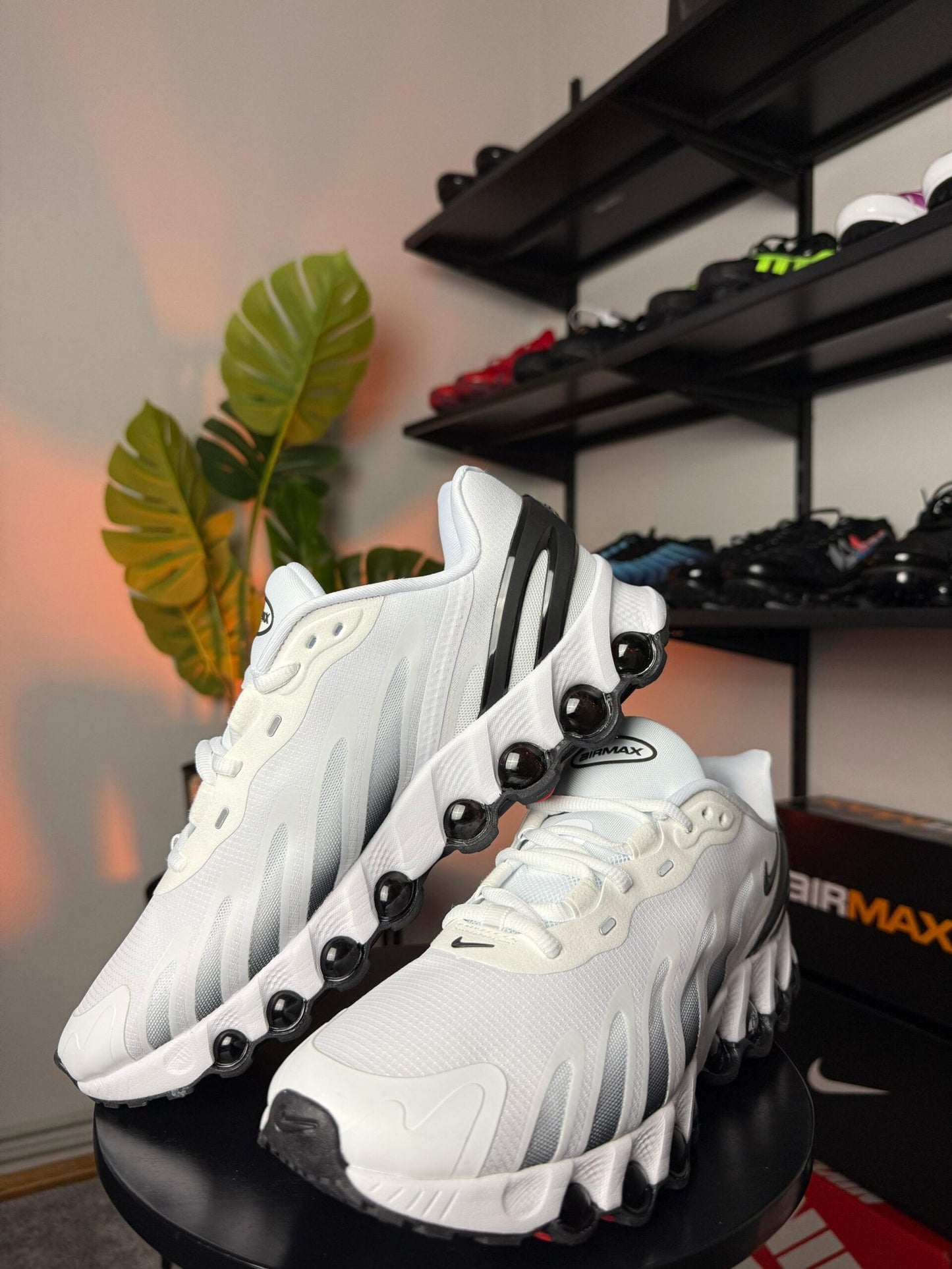 Nike AIR MAX DN8 WHITE