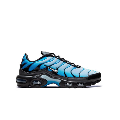Nike AIR MAX PLUS BLUE Gradient